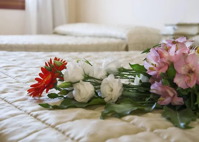 塞利纳别墅酒店 酒店 3*